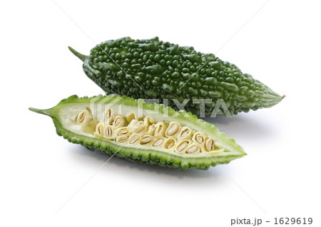 ニガウリ、ゴーヤ 1629619