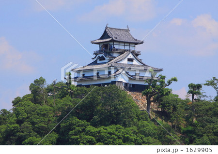 夏の犬山城 1629905