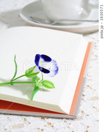 読書　（縦） 1630571