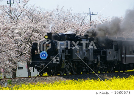 真岡鉄道（C11蒸気機関車）№１ 1630673