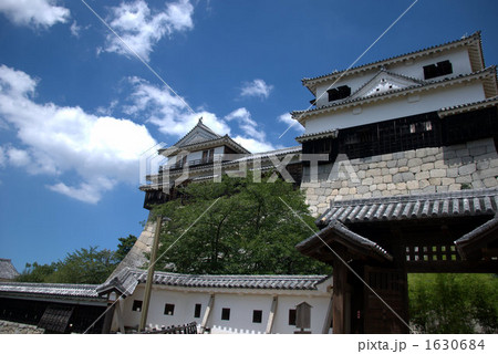 松山城紫竹門 1630684