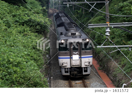 181系 臨時列車 181系 臨時列車 1631572