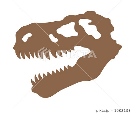 ティラノサウルスの頭蓋骨のイラスト素材