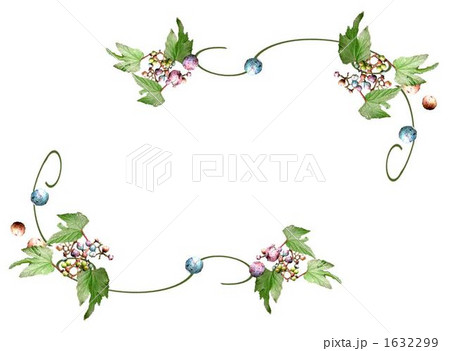 ノブドウのフレーム 1632299