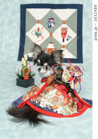 振り向きポーズの写真素材