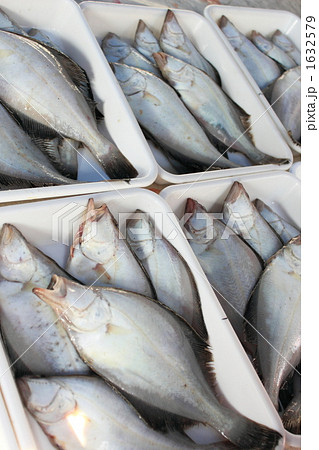 宗八カレイ 宗八カレイ 1632579