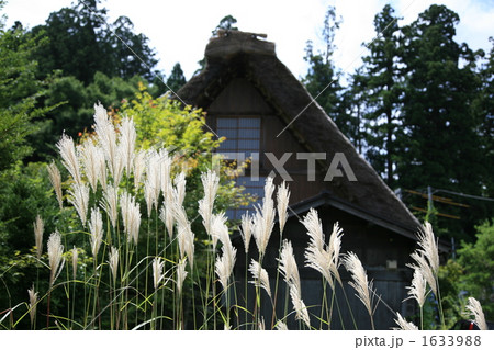合掌の里 白川郷に秋の気配 合掌の里 白川郷に秋の気配 1633988