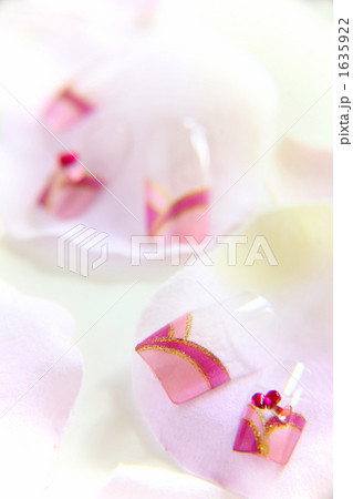 ネイルチップ 1635922