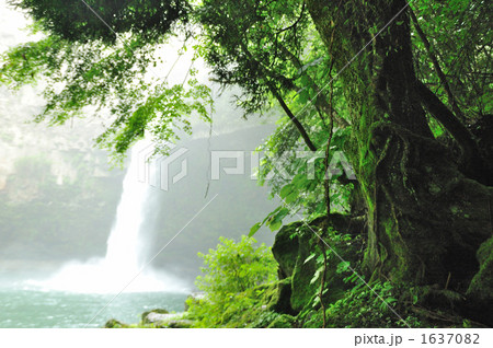 うのこの滝 1637082