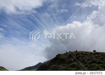 パイネ国立公園 パイネ国立公園 1637372