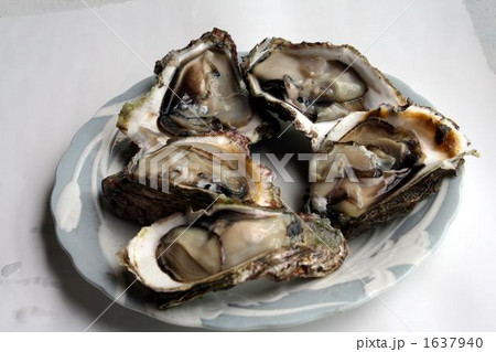 夏の牡蠣 夏の牡蠣 1637940