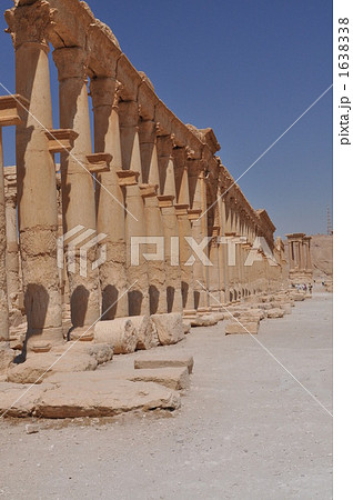 パルミラ遺跡 パルミラ遺跡 1638338