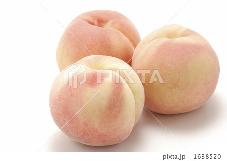1638520