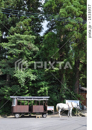 辻馬車 湯布院 1638957