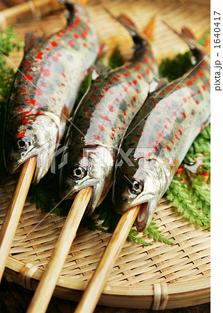 アマゴ01 アマゴ01 1640417