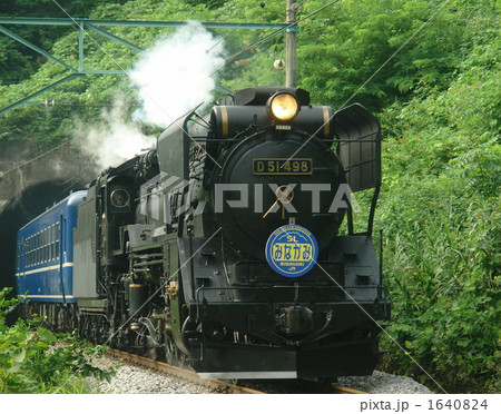 トンネルから出たＤ５１ 1640824