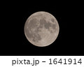 満月 1641914