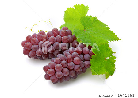 デラウェア 1641961