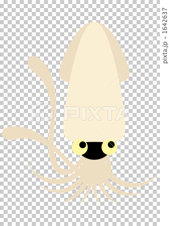 vector, vectors, squid 1642637