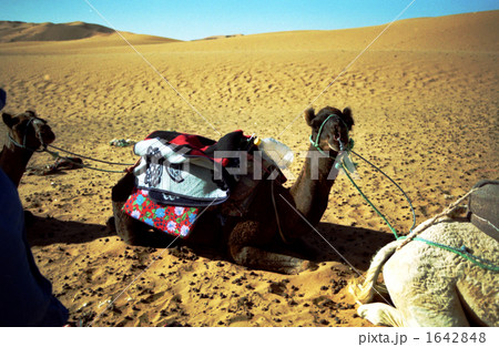 morocco101_002 1642848