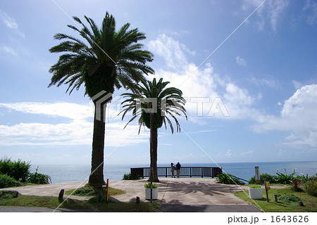 堀切峠のフェニックス 1643626