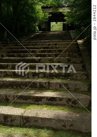 夏の木曽古刹山門 1644212