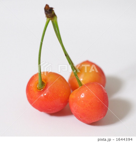 サクランボ サクランボ 1644394