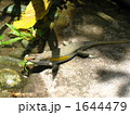 1644479
