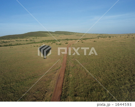 アフリカでバルーン 1644593