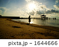 セブ島 1644666