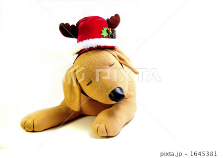 待ちどうしいクリスマス 1645381