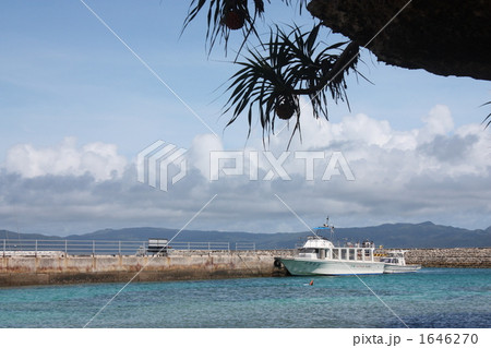 新城島 新城島 1646270