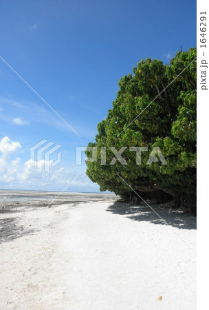 竹富町 竹富島 竹富町 竹富島 1646291