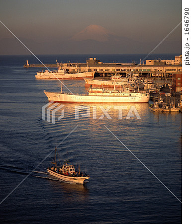 朝日の三崎港と富士山 1646790
