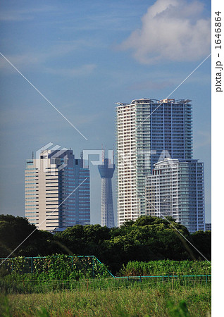 スカイツリー スカイツリー 1646864