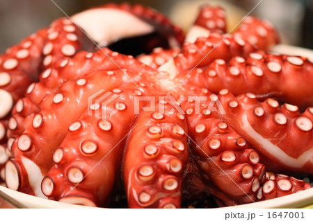 ゆでだこ 1647001