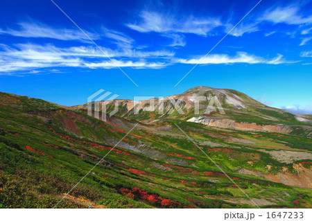 紅葉と北鎮岳 1647233
