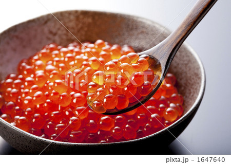 イクラ イクラ 1647640