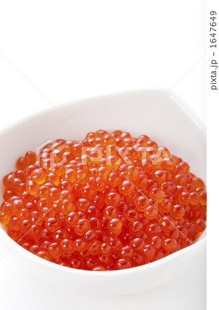 イクラ 1647649
