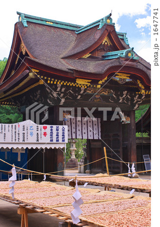 三光門と梅干 1647741