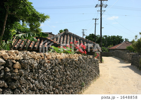 竹富島の白い砂道 1648858