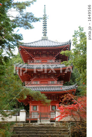 宝福寺三重塔 1649566