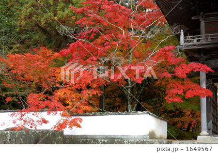 宝福寺の紅葉 宝福寺の紅葉 1649567