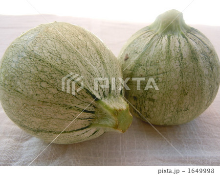 丸型ズッキーニ 1649998