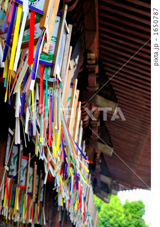 四天王寺の風景 (万灯供養法要) 四天王寺の風景 (万灯供養法要) 1650787