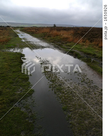 ヨーロッパ・ハワースの荒涼とした大地（英国） 1650926