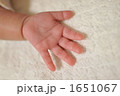 ちいさな手のひら 1651067