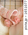 手と手 1651077