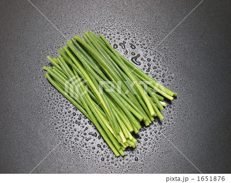 にんにくの芽 1651876