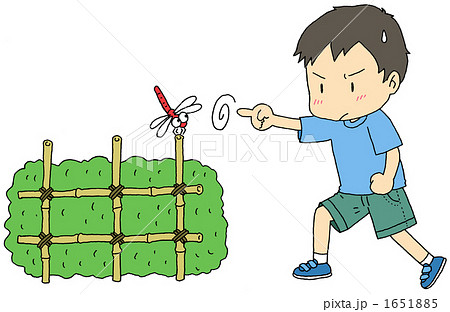 トンボ捕り 1651885